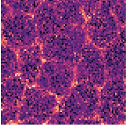Noisy fluorescence image