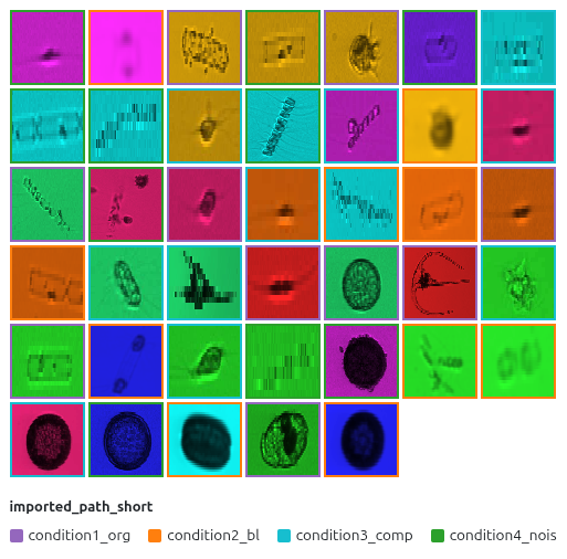 Image Mosaic