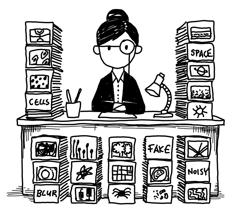 Researcher with image datasets