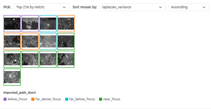 Image Thumbnails
